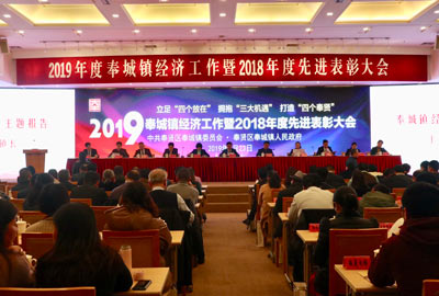 奉贤区奉城镇年度先进表彰大会 | 宝开荣获“纳税百强企业”