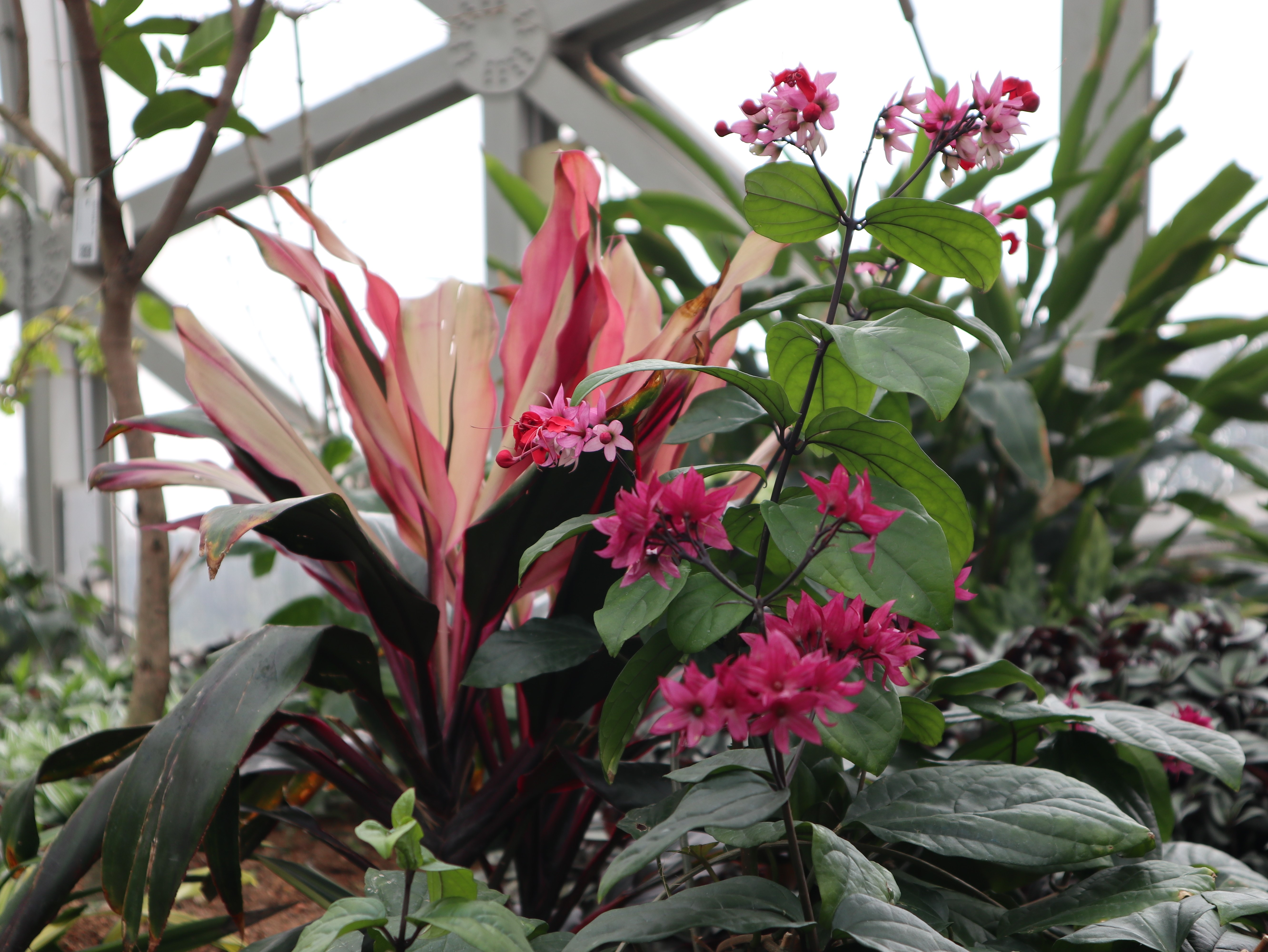 新闻 | 宝开组织“相约春季，欢畅游园”三八节主题活动